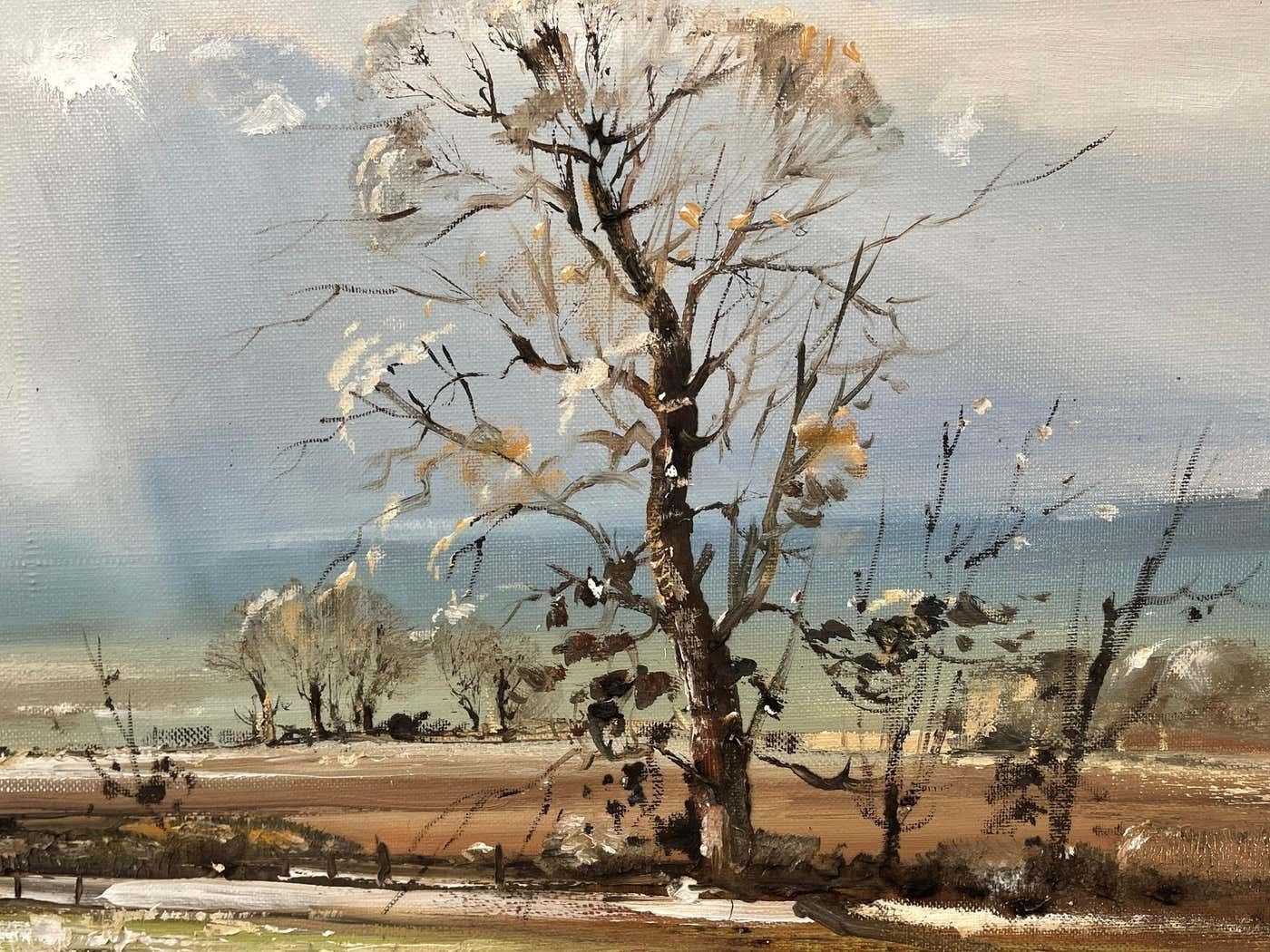 Frank Fitzsimons Ireland Landscape With Trees, Buildings & Sun Rays By Contemporary Irish Artist 1985 Circa photo buy
