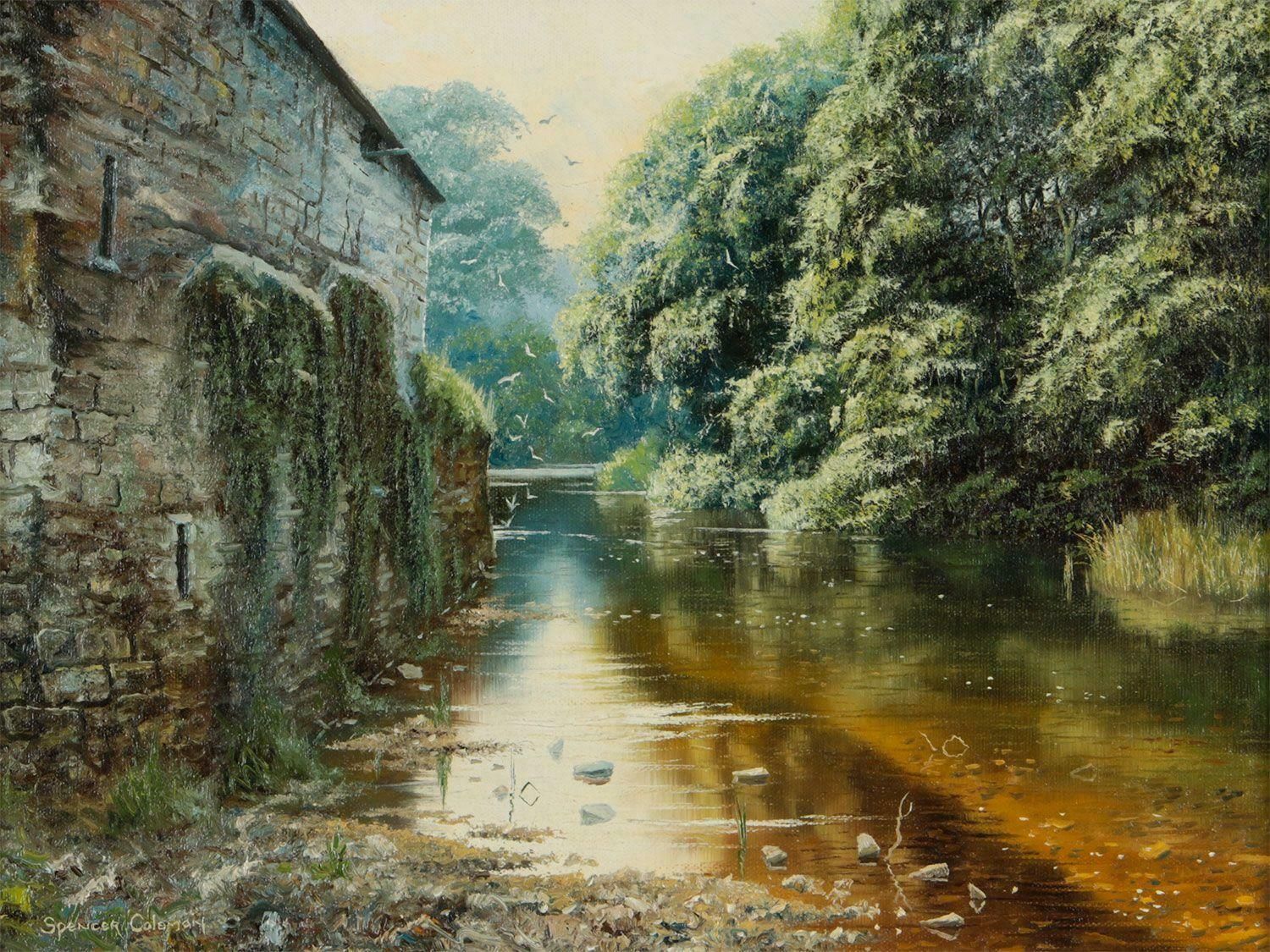 Spencer Coleman Painting Of A Beautiful Rural Countryside River Scene With Birds In Ireland Circa 1995 photo vinterior