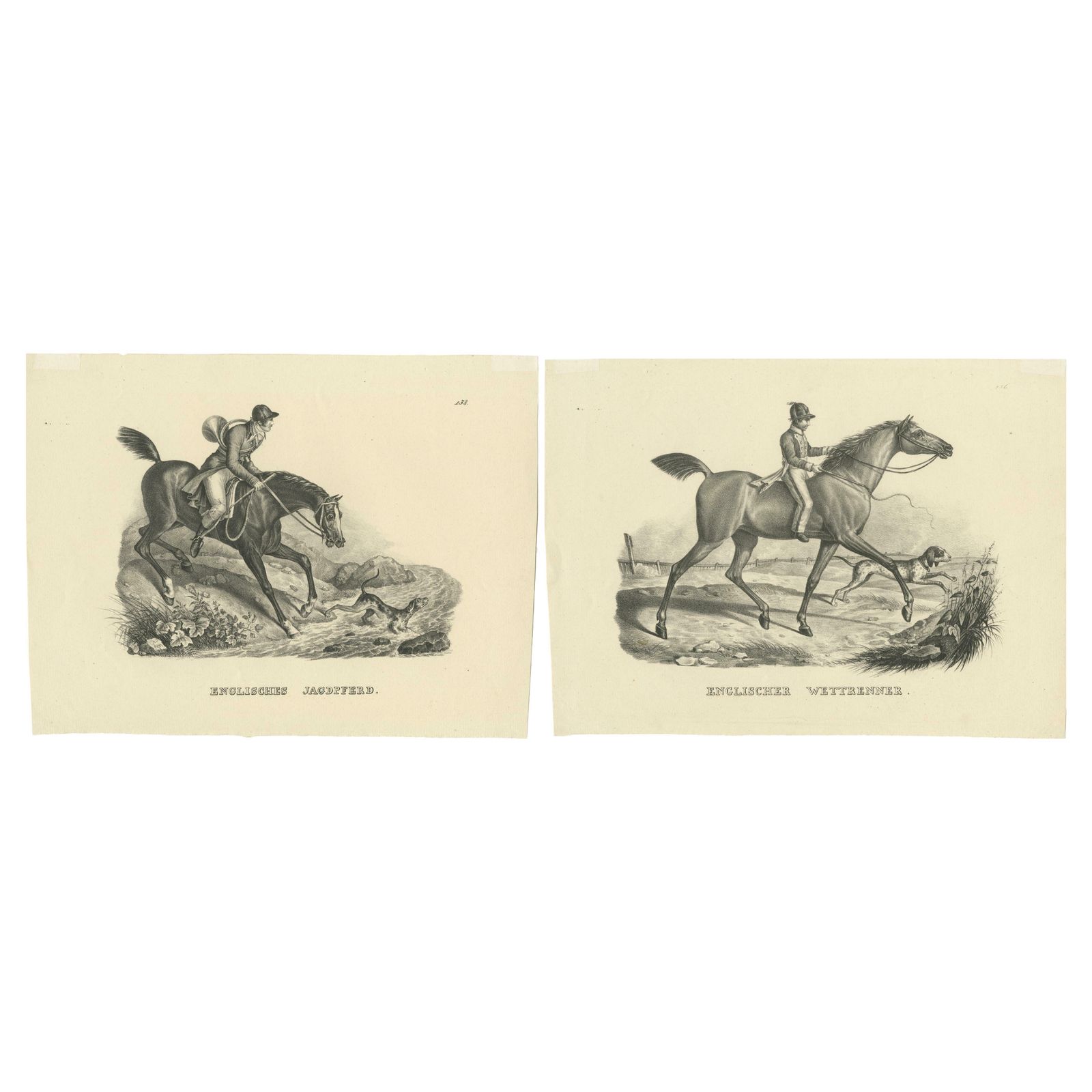 Set Of 2 Antique Prints Of English Horses