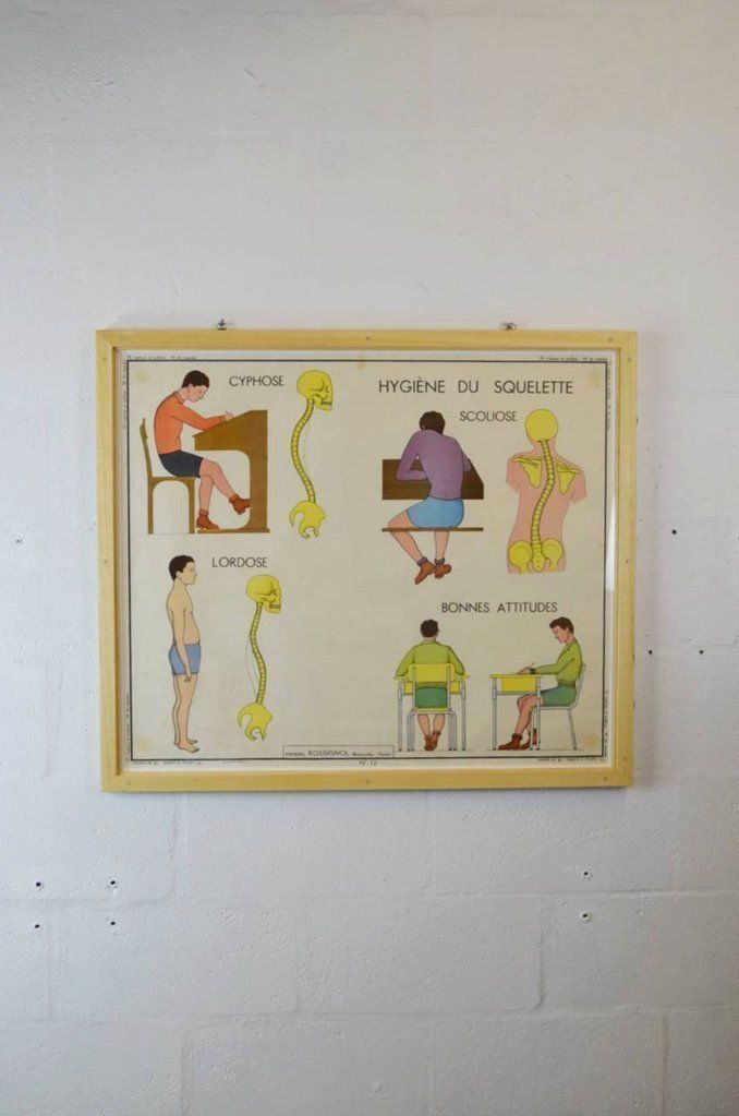 Mid Century French Medical Poster photo furniture