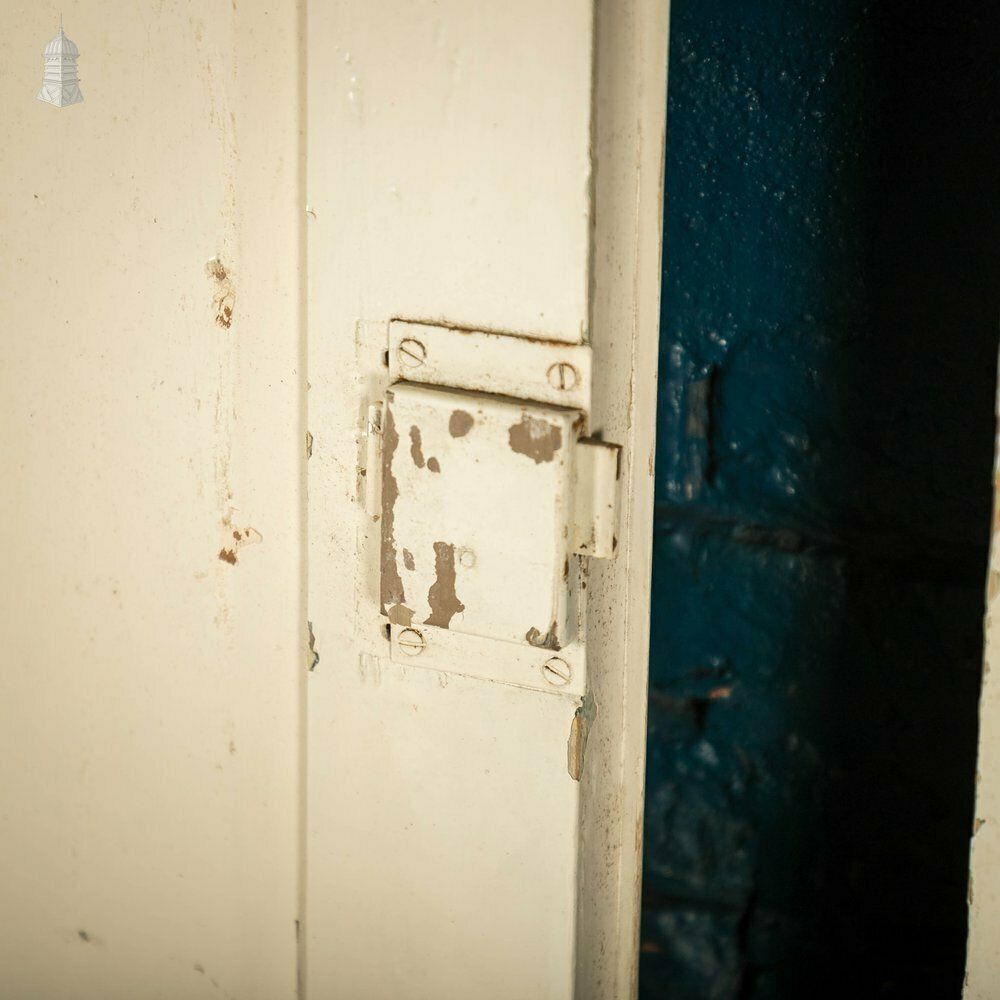 Pine Panelled Doors, Pair Of 19th C 2 Panel White Painted Cupboard Doors photo Home Fixtures