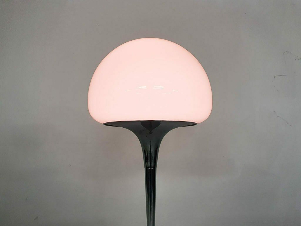 Opaline Glass And Chrome Floor Lamp By Goffredo Reggiani Italy 1960s photo Lighting