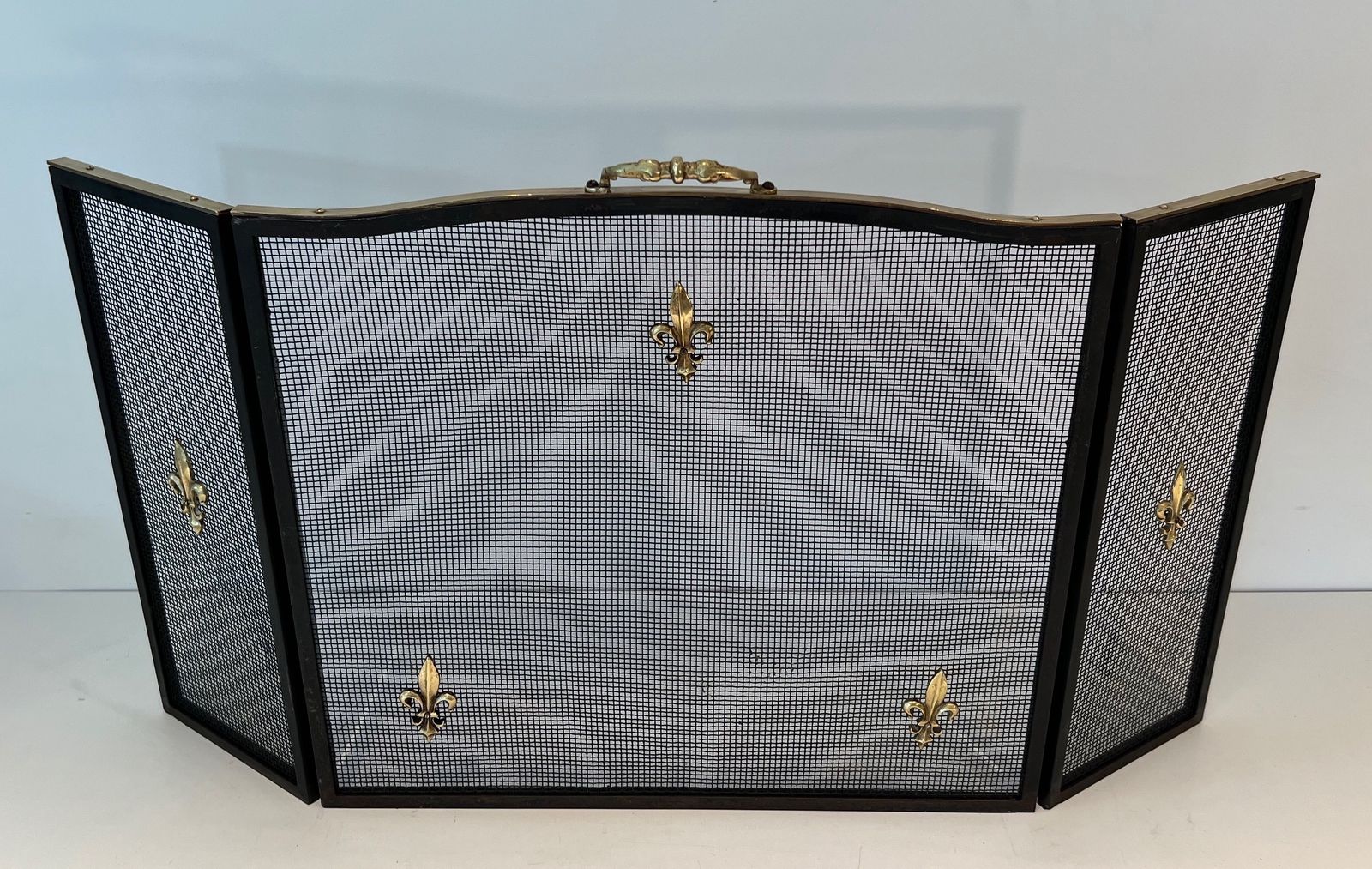 Neoclassical Style Firewall In Steel, Brass And Mesh With Fleurs De Lys Decor photo furniture