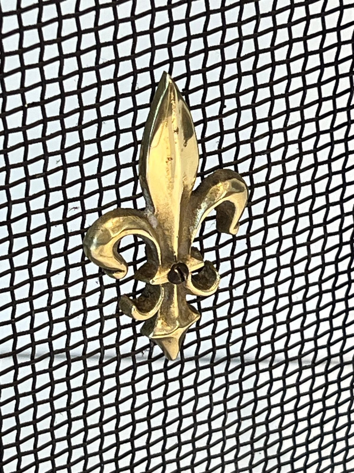 photo vintage Neoclassical Style Firewall In Steel, Brass And Mesh With Fleurs De Lys Decor