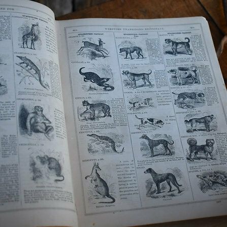 Antique 1861 Noah Webster American Dictionary The English Language Leather Book photo vintage
