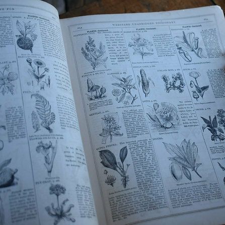 Home Decor Antique 1861 Noah Webster American Dictionary The English Language Leather Book photo