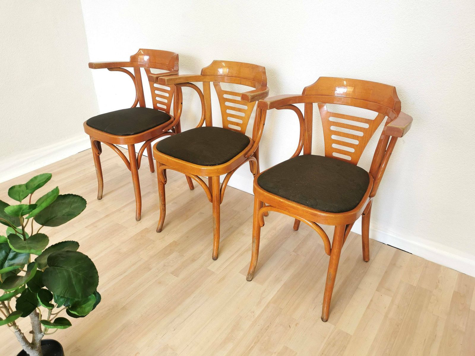 Set Of 3 Vintage Bentwood Dining Chairs In Irish Pub Style With Fabric Seat / Mid Century Wooden Armchair With Armrest In Thonet Style 1970s