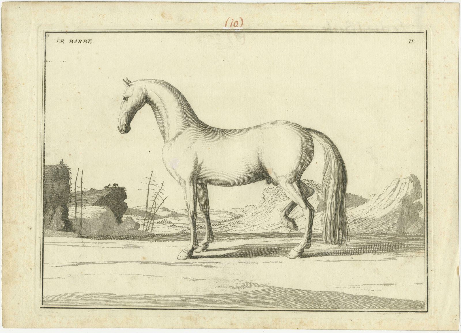 Set Of 2 Antique Horse Prints: L'arabe & Le Barbe photo for sale
