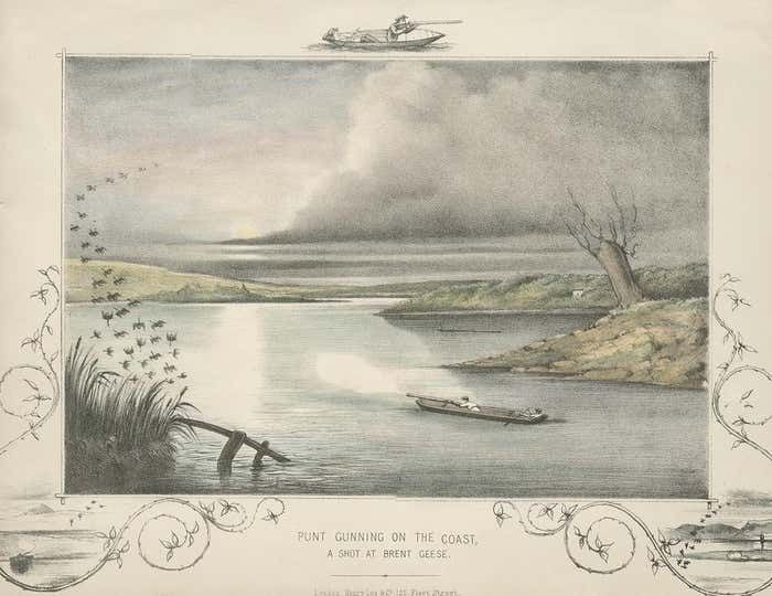 Antique Hunting Print Of A Shot At Brent Geese, Circa 1863 photo for sale