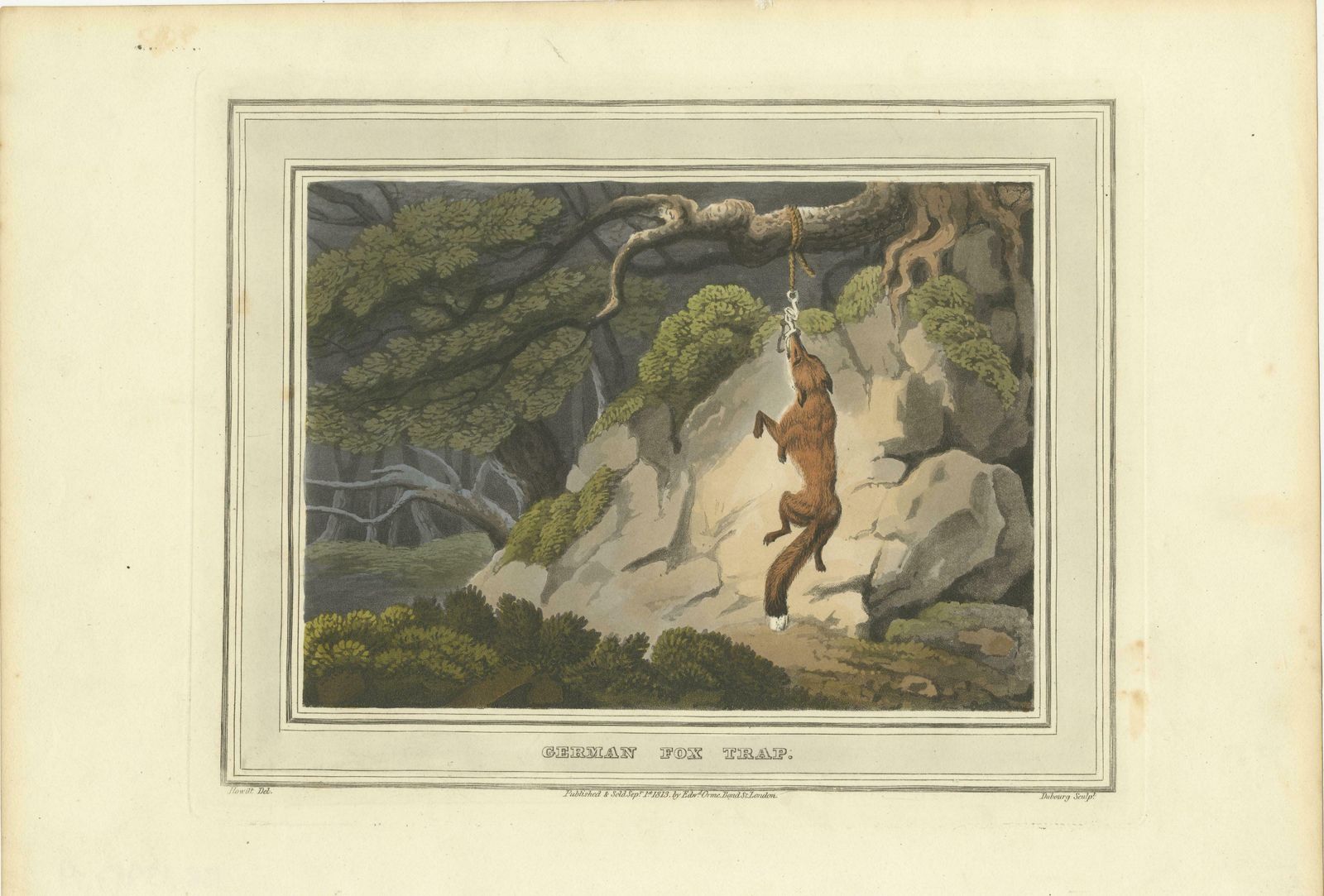 Hunting And Gathering Across Continents In A Collage Of Five Engravings, 1813 photo vinterior