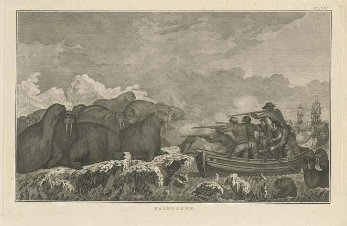 Antique Print Of Shooting Walruses By Cook, 1803 photo furniture