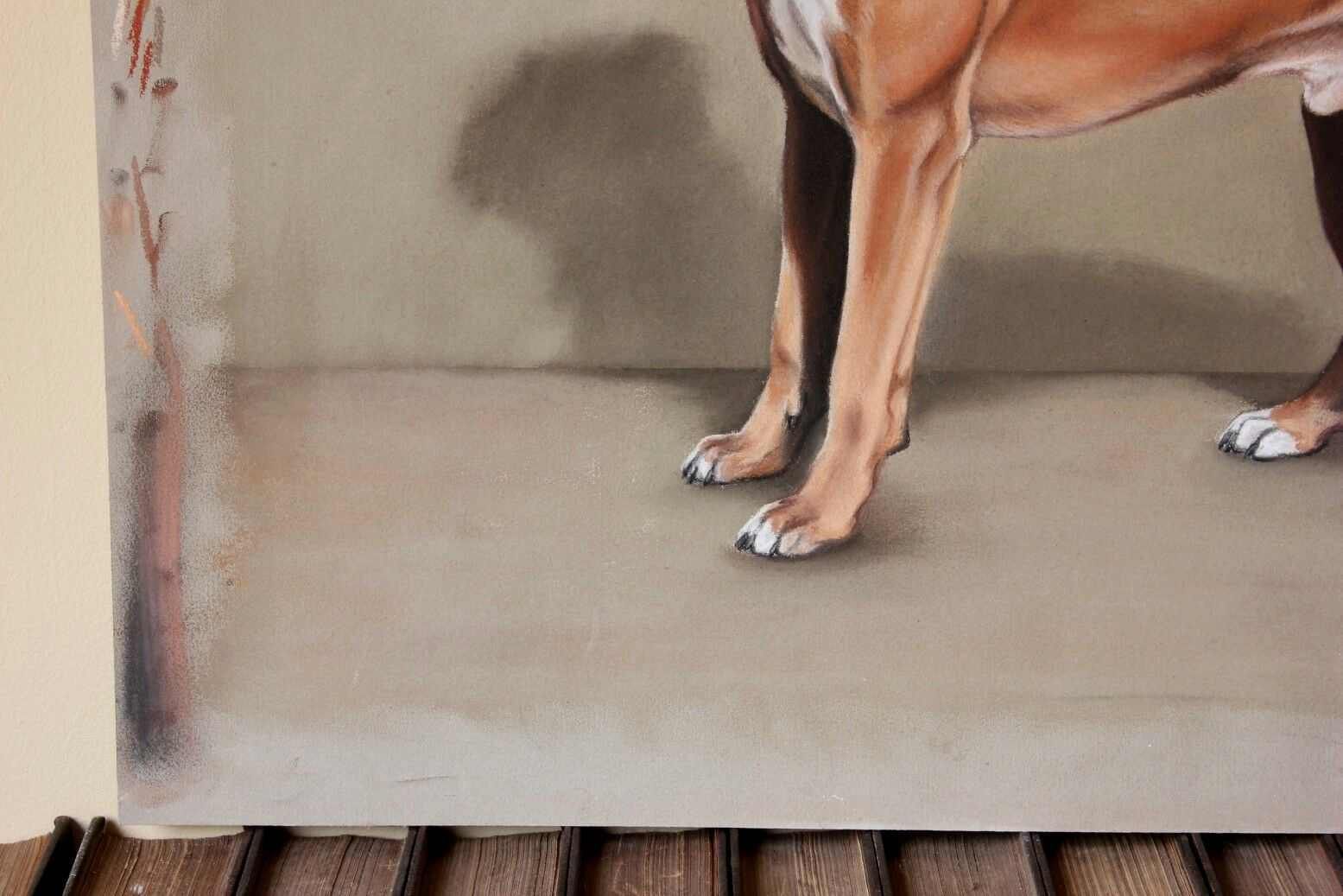 photo furniture Boxer Dog Pastel Painting By Karen Herbert Animal Artist