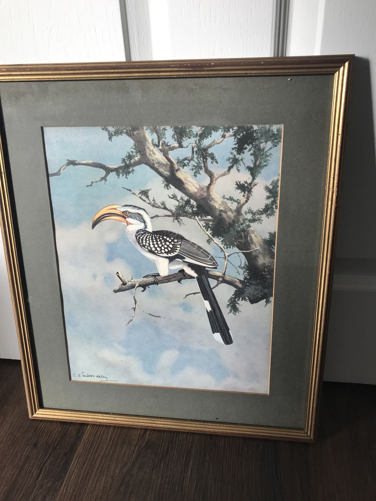 Chloe Elizabeth Talbot Kelly Watercolours Of Birds ( Very Rare ). photo Art