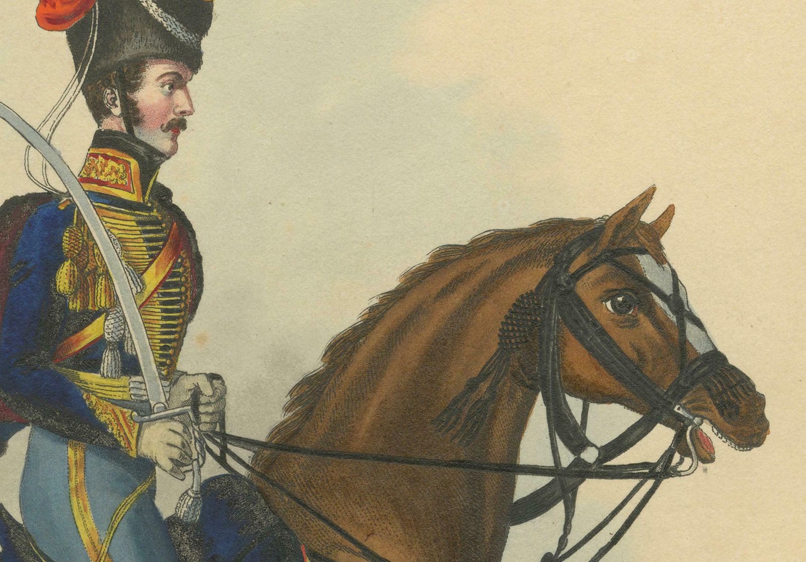 Hanoverian Guard Hussar Officer Elegance, 19th Century Military Print photo vinterior