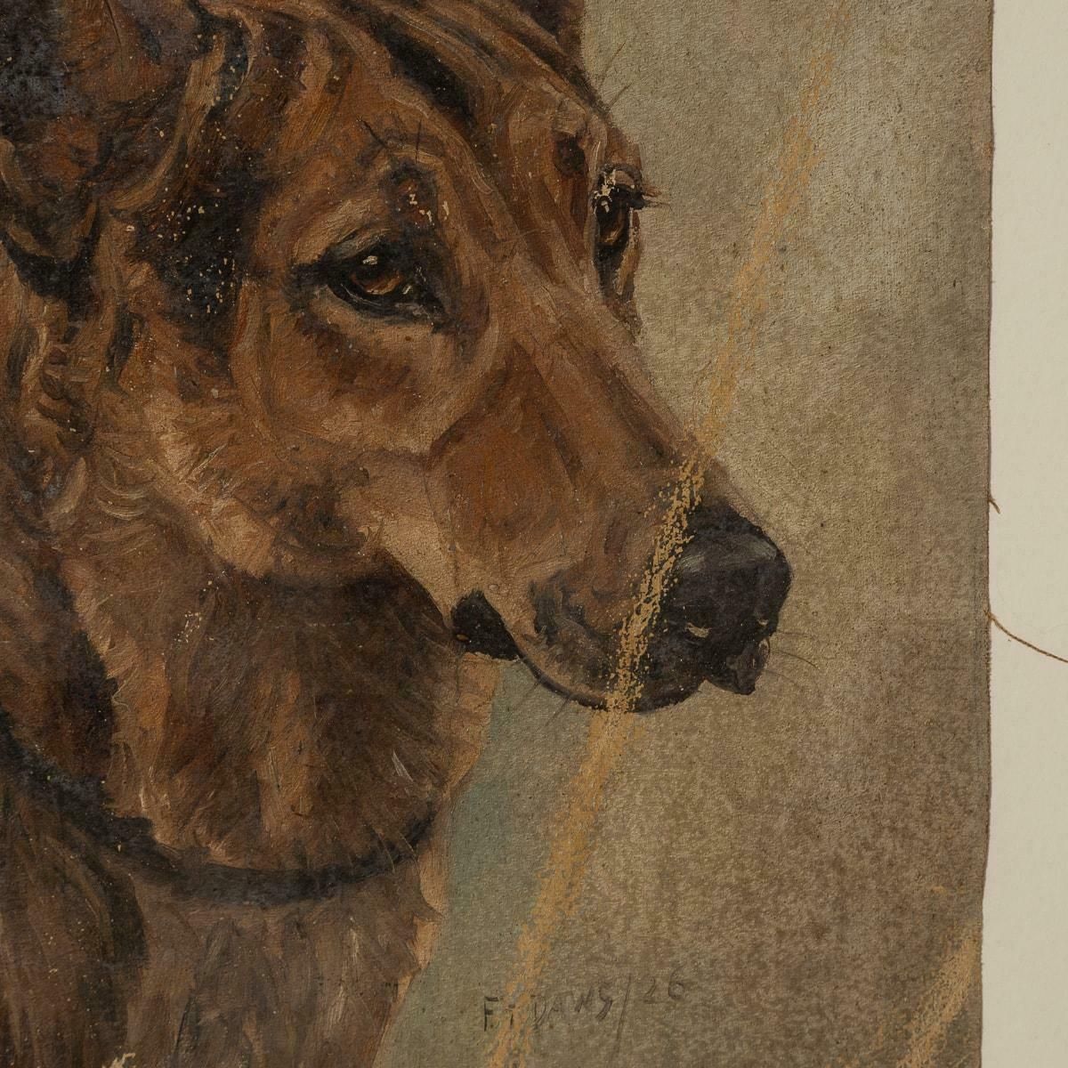 Antique 20thc Framed German Shepherd Oil On Canvas By Frederick T. Daws C.1926 photo Art