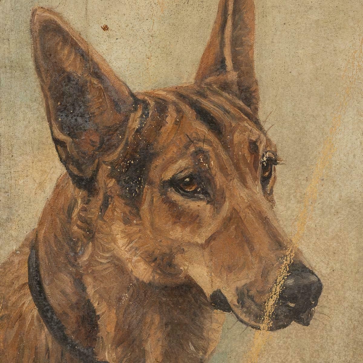 Antique 20thc Framed German Shepherd Oil On Canvas By Frederick T. Daws C.1926 photo 2395.0