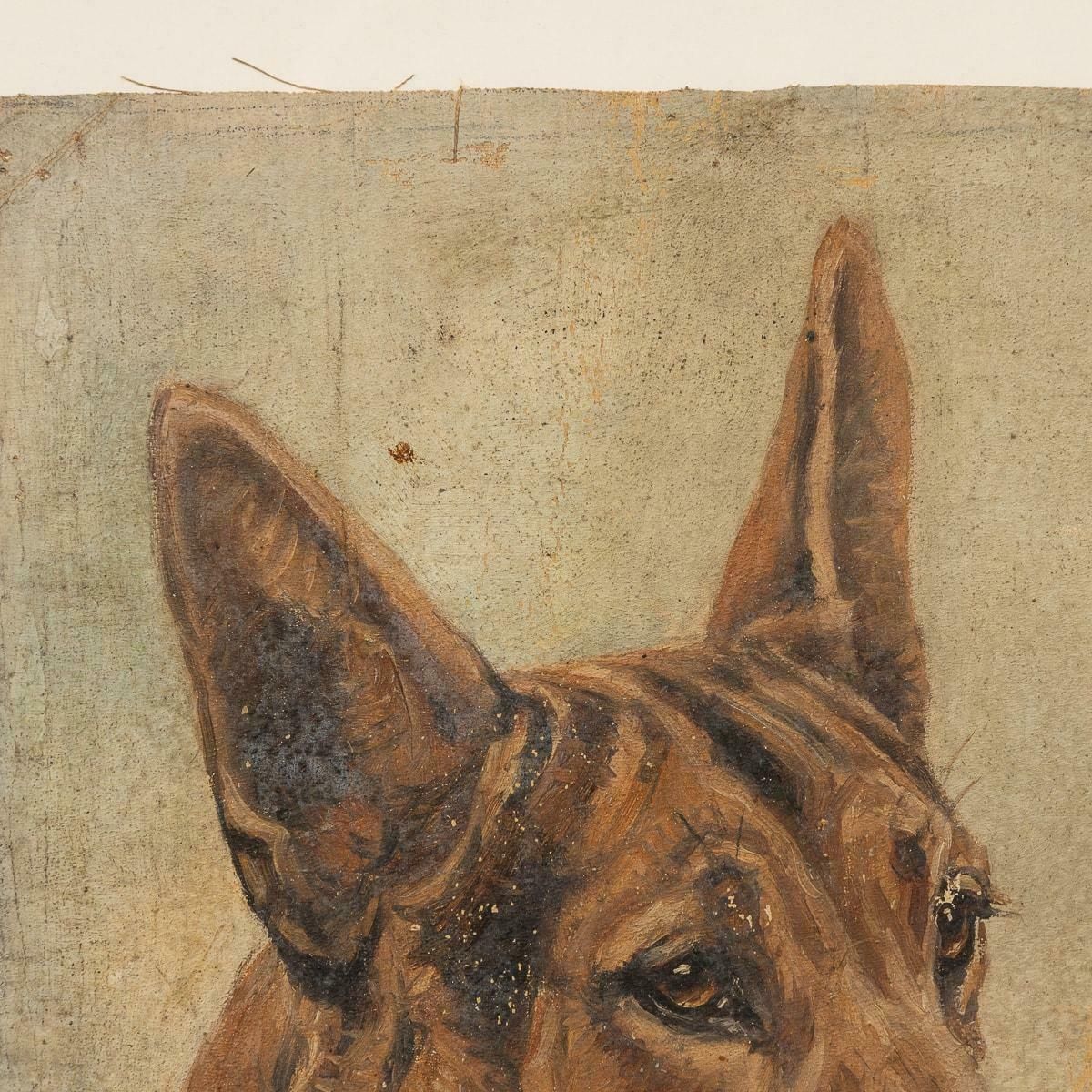 Antique 20thc Framed German Shepherd Oil On Canvas By Frederick T. Daws C.1926 photo vinterior