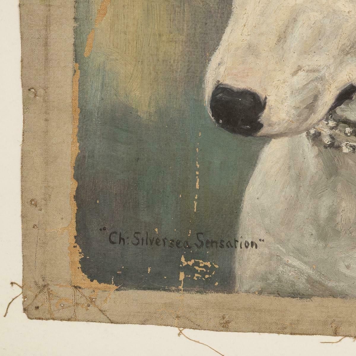 Antique 20thc Framed English Bull Terrier Oil On Canvas By Frederick Thomas Daws