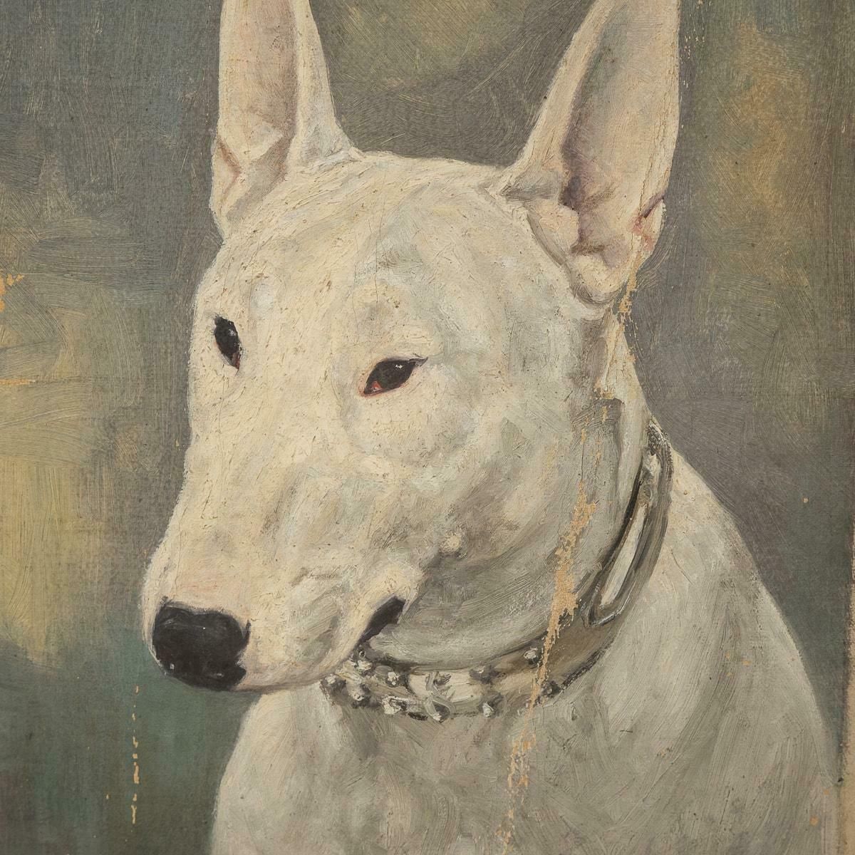 2395.0 Antique 20thc Framed English Bull Terrier Oil On Canvas By Frederick Thomas Daws photo
