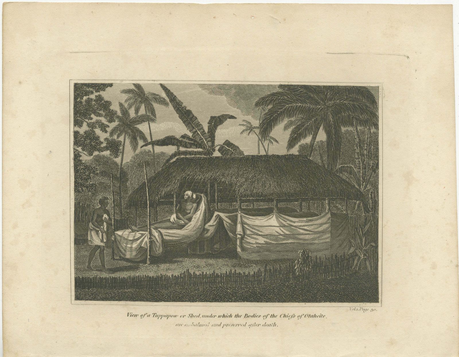 Tee's Eternal Rest: The Embalmed Chief Of Otaheite Or Tahiti, Circa 1800 photo furniture