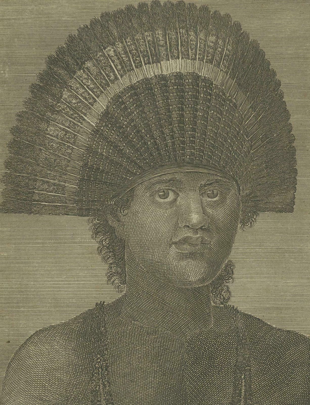 Regal Dignity And Island Beauty: King Poulaho Of Tonga And A Woman Of Eua, 1785 photo 240.0