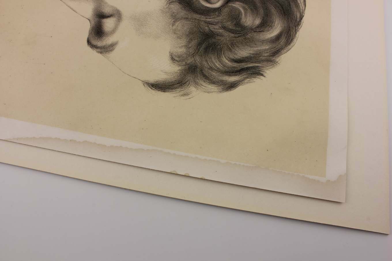 350.0 Original G Ellis Anatomy Lithograph Illustration Of Neck Dissection. 1864. photo