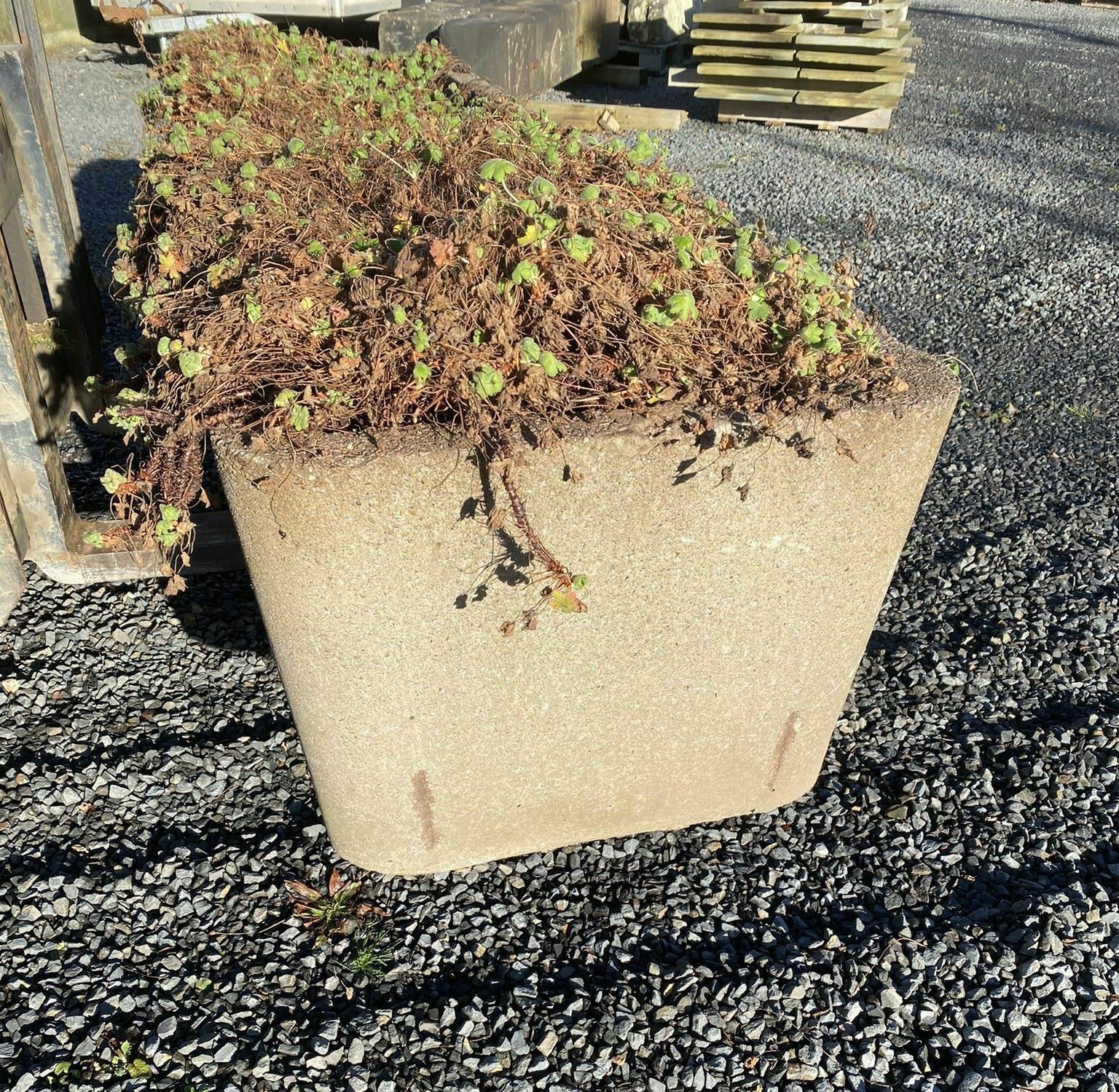 Large Scale 1970s Concrete Planter Trough In The Manner Of Willy Guhl photo 1865.0