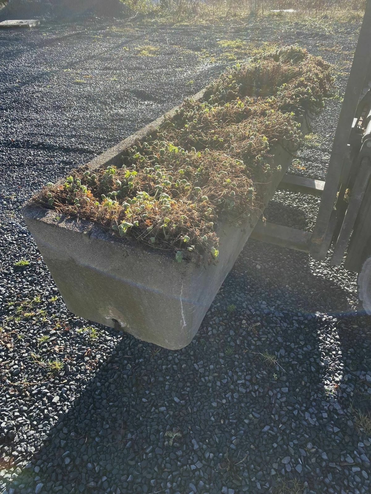 Large Scale 1970s Concrete Planter Trough In The Manner Of Willy Guhl photo buy