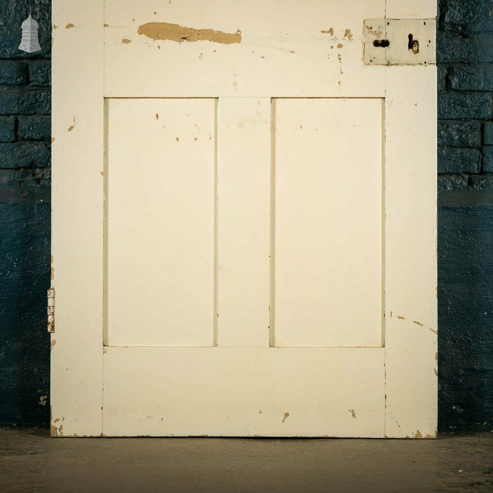 Home Fixtures Pine Panelled Door, White Painted photo
