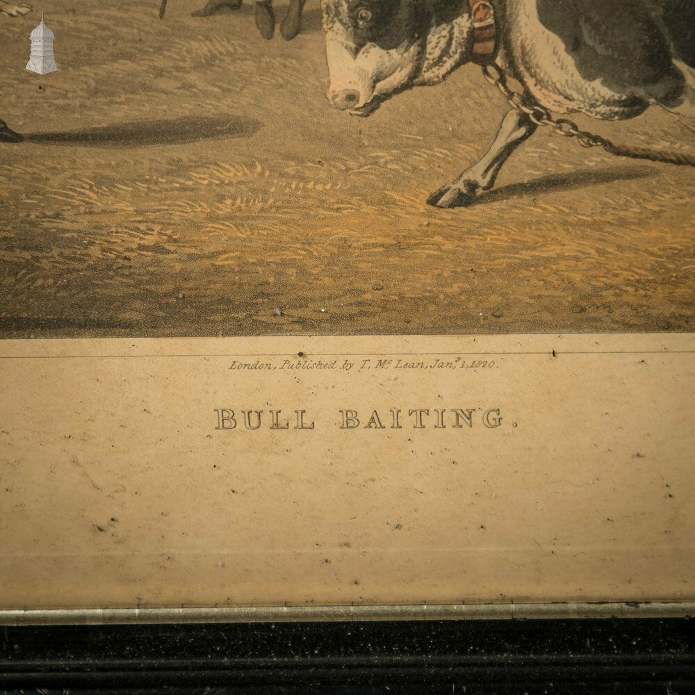 Bull Baiting Etchings, Pair Of Colored Etchings photo Art