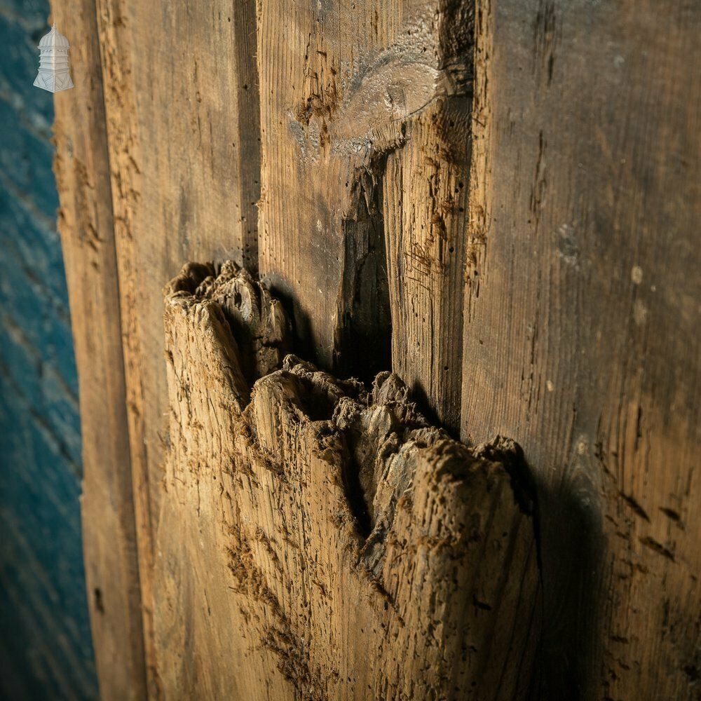 photo furniture Rustic Pine Ledged And Braced Door With Large Iron Strap Hinges