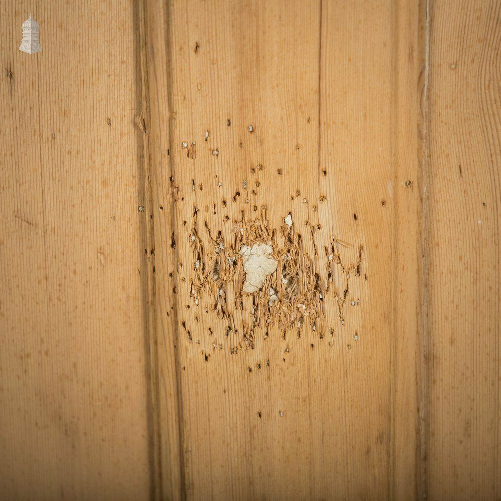 420.0 Pine Panelled Door, 18th C 6 Panel photo