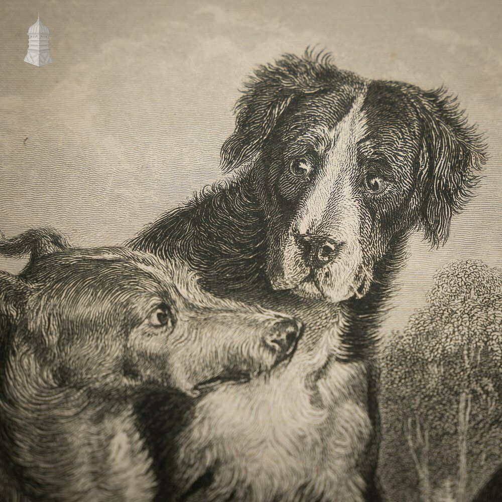 The Braggart’ Original 19th C Richard Parr Engraving After Edwin Landseer Published 1833 photo Art