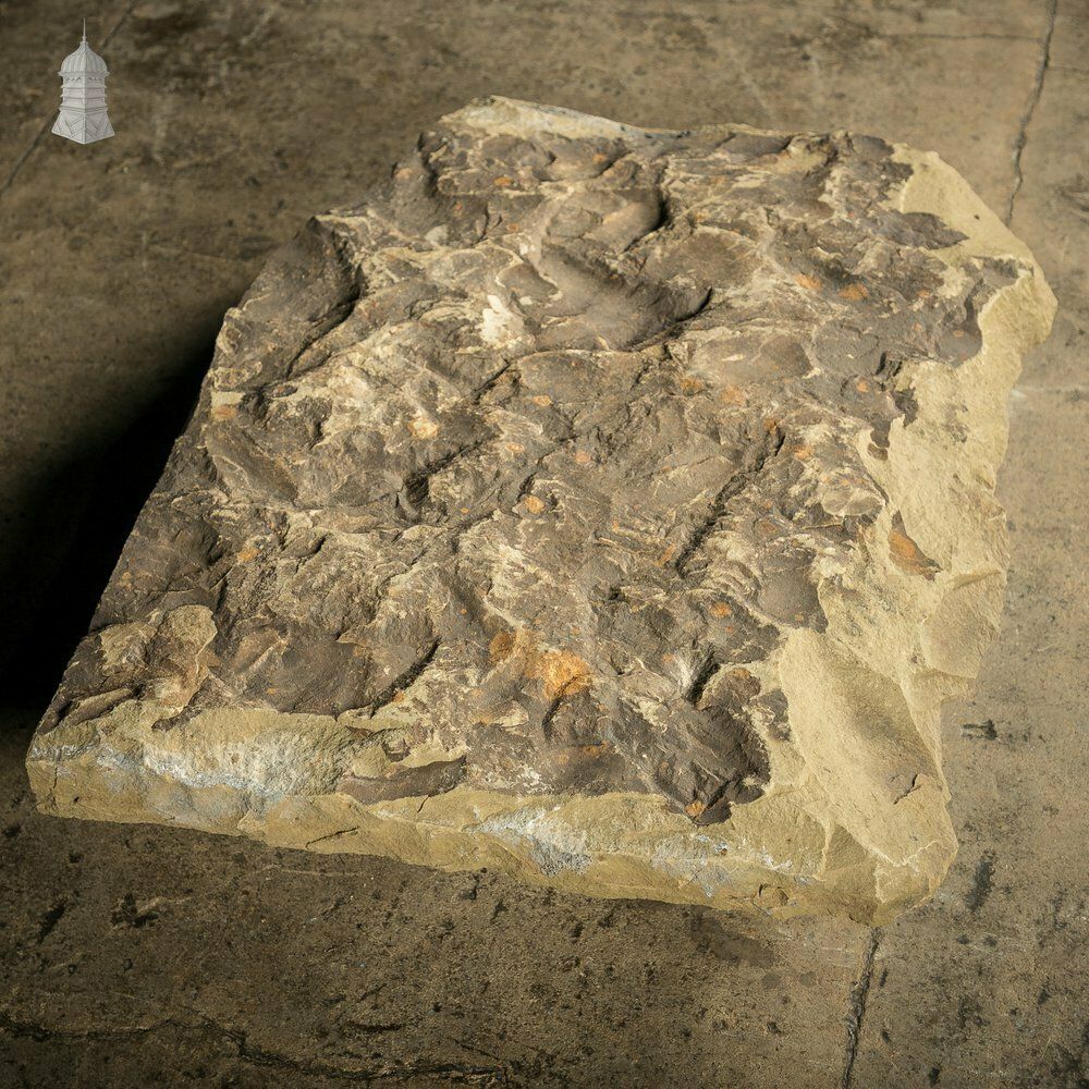photo furniture Riven Flagstone With A Weathered Face And Cut Back