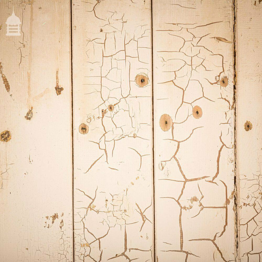 Narrow 19th C Ledged And Braced Painted Cottage Door photo Home Fixtures