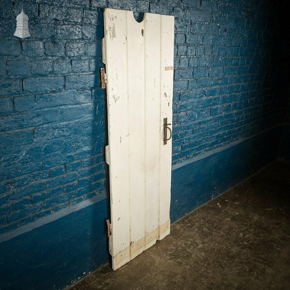 Small 18th C White Painted Ledged And Braced Cottage Door photo vintage
