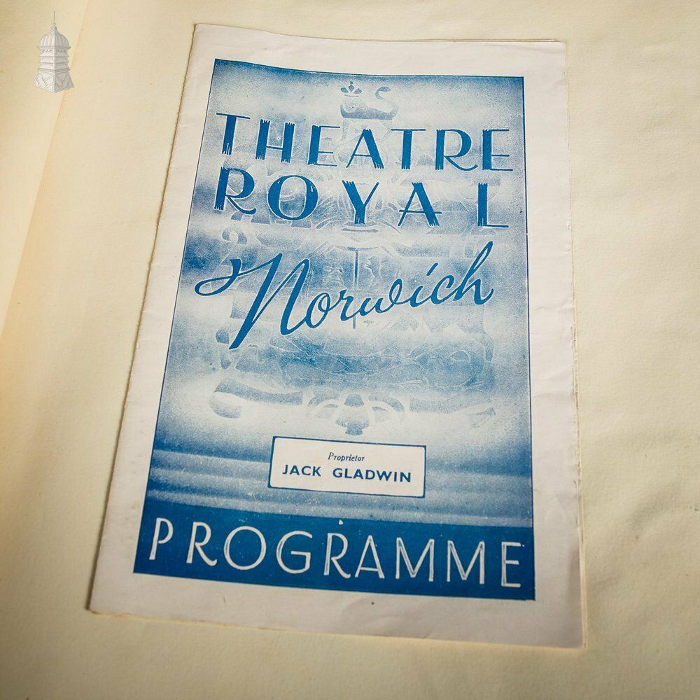Ipswich Museum Portrait Book Containing 1940’s Newspaper Clippings And Ballet Programmes From Theatre Royal Norwich photo buy
