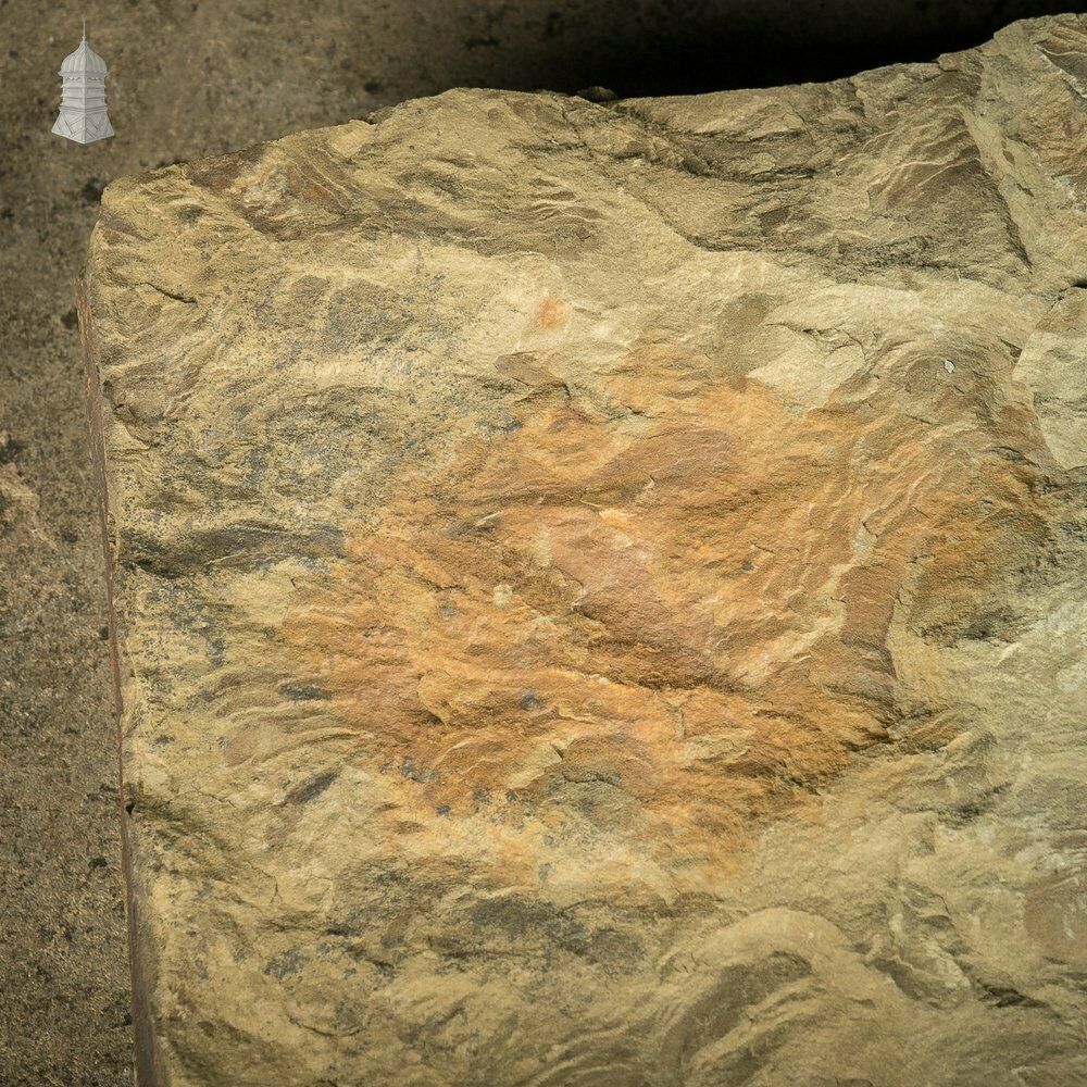 Riven Flagstone With Weathered Face And Flat Cut Back – 89cm X 55cm photo Home Decor
