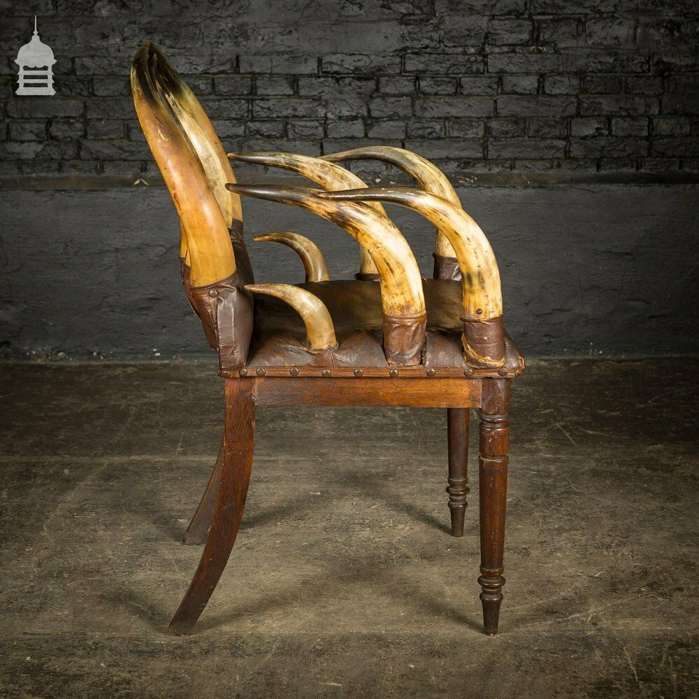 19th C Longhorn Steer Throne Chair With Turned Oak Legs photo vinterior