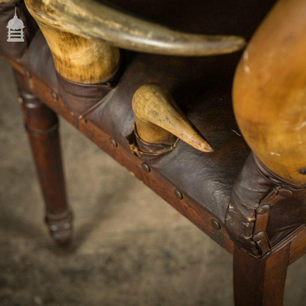 photo for sale 19th C Longhorn Steer Throne Chair With Turned Oak Legs
