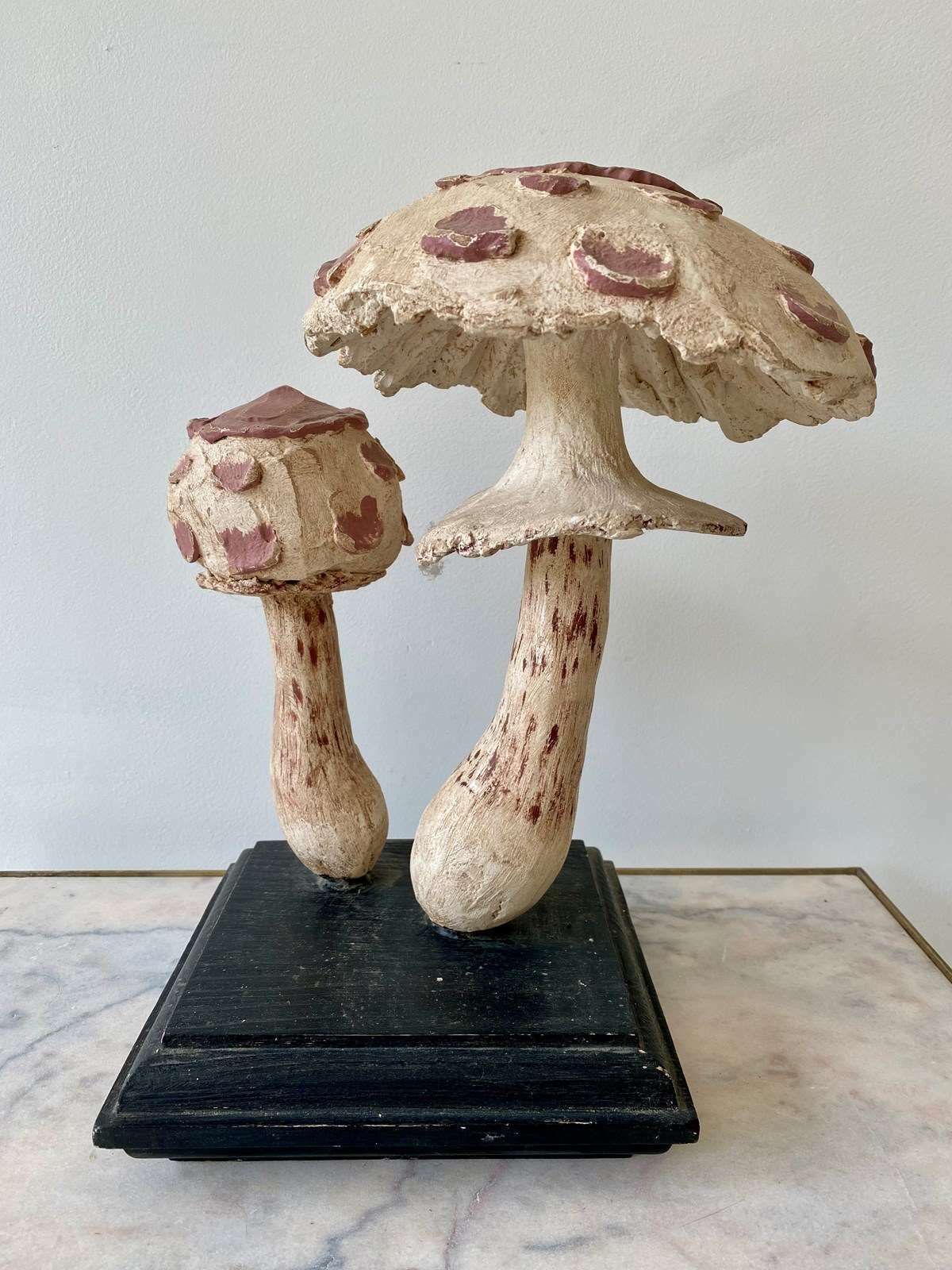 Vintage Study Aid Of Mushroom, Late 20th Century photo vinterior