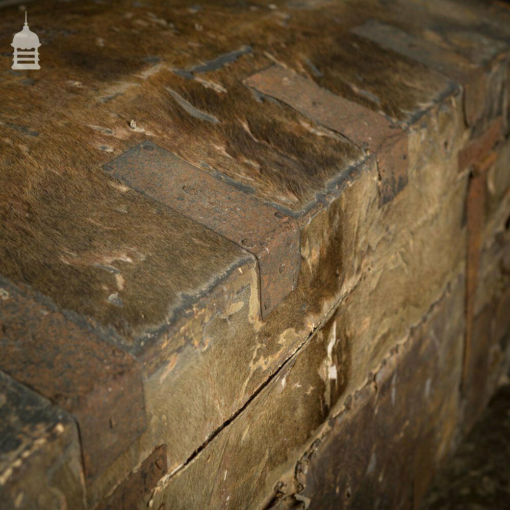 19th C Wooden Trunk Covered In Hide With Metal Strapping, Studs And E.V Monogram On Lid photo vinterior