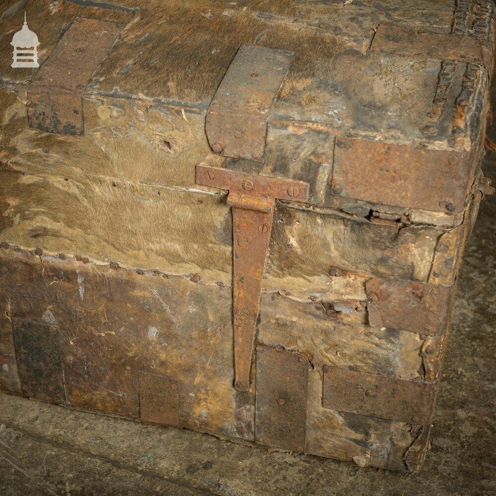 420.0 19th C Wooden Trunk Covered In Hide With Metal Strapping, Studs And E.V Monogram On Lid photo