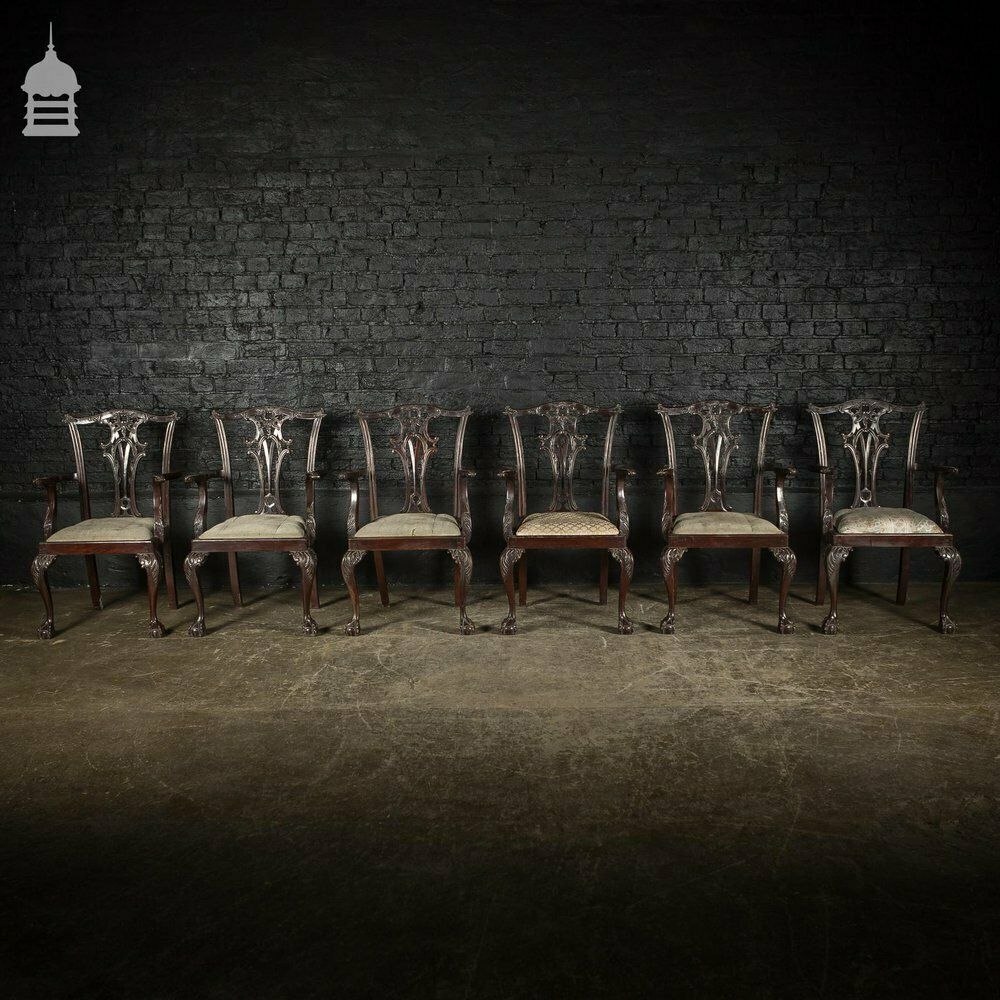 Set Of Six Ornate Chippendale Revival Dining Chairs Armchairs Circa 1900 photo for sale