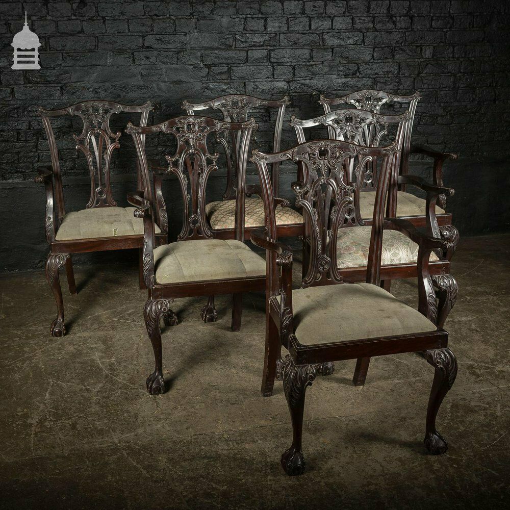 Set Of Six Ornate Chippendale Revival Dining Chairs Armchairs Circa 1900 photo 2940.0