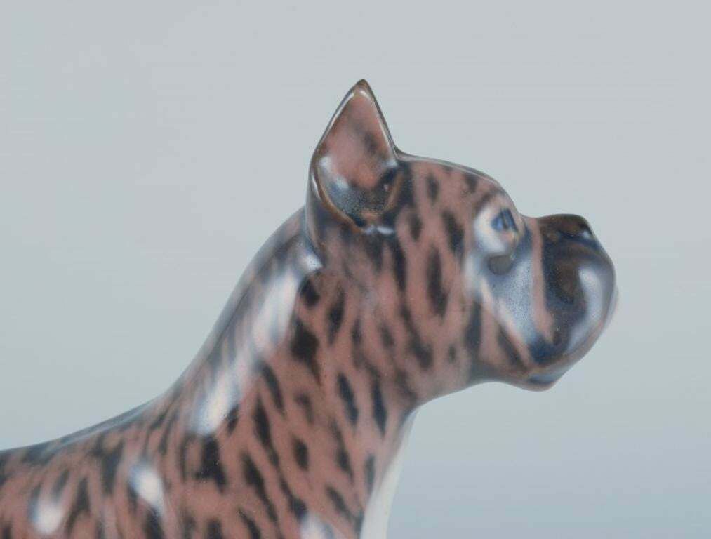 Royal Copenhagen, Porcelain Dog, Standing Boxer. Design By Holger Christensen photo Art