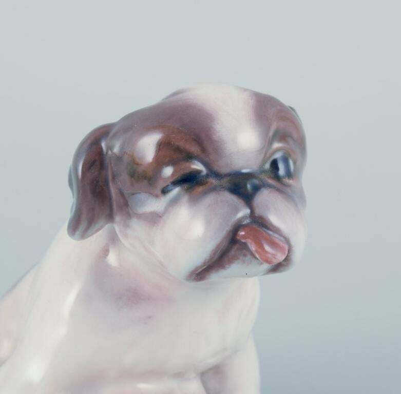 Dahl Jensen, Porcelain Figurine Of A Pekingese Puppy. photo 161.0