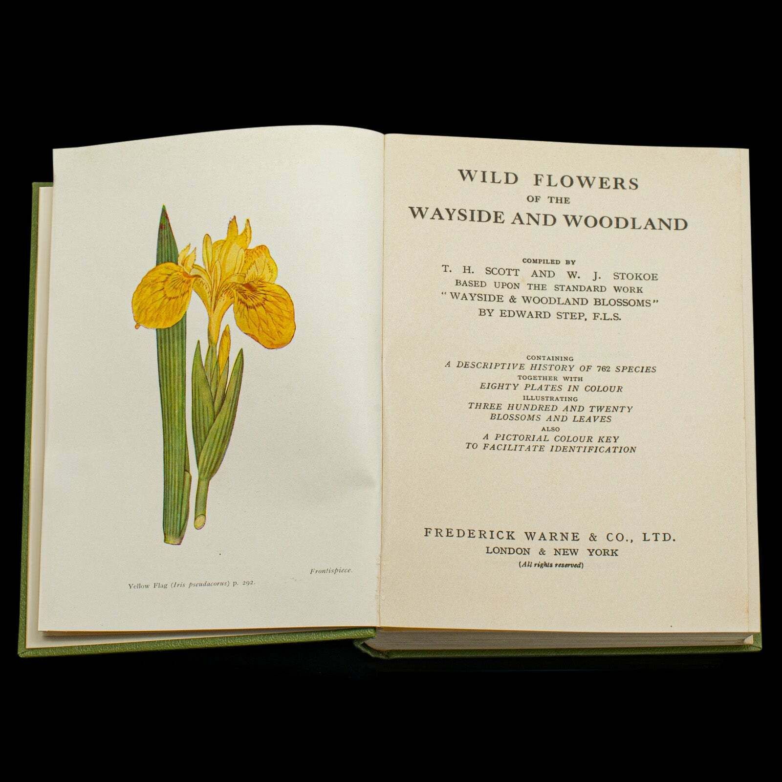 Vintage Reference Book, Wild Flowers Of The Wayside, English, Botanical Guide photo for sale