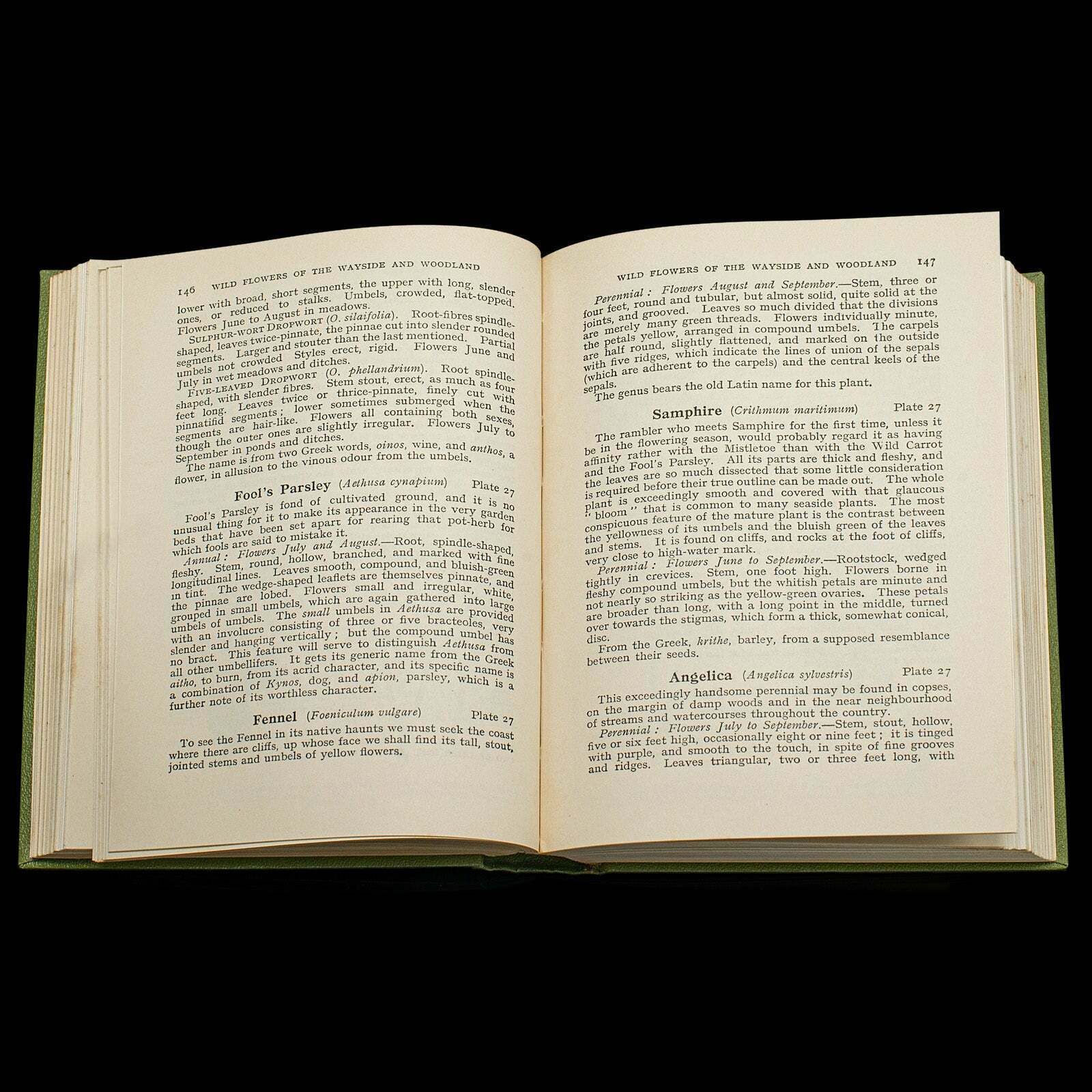 photo furniture Vintage Reference Book, Wild Flowers Of The Wayside, English, Botanical Guide