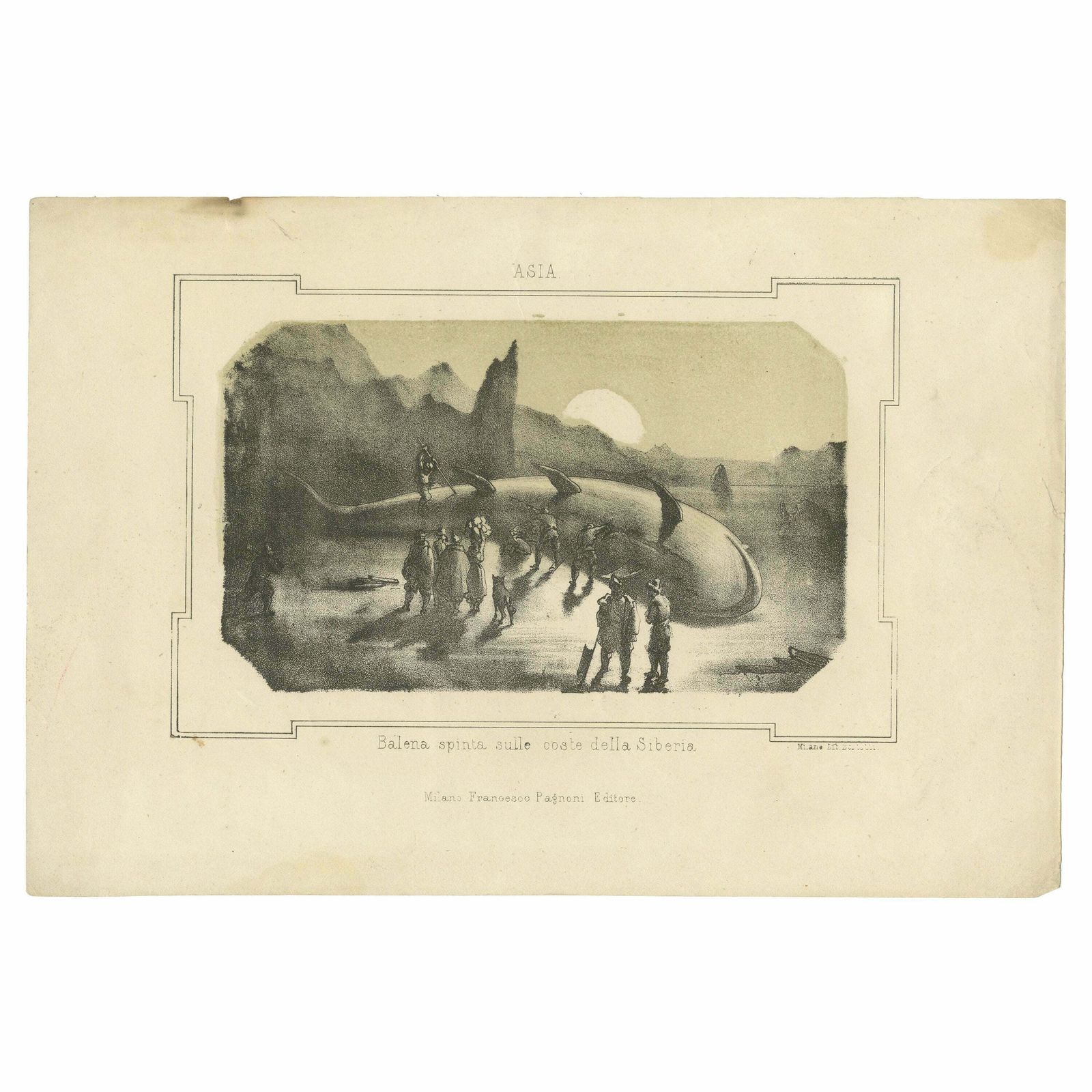 Maritime Wonders: Beached Leviathans Of The 19th Century In Siberia, Circa 1850